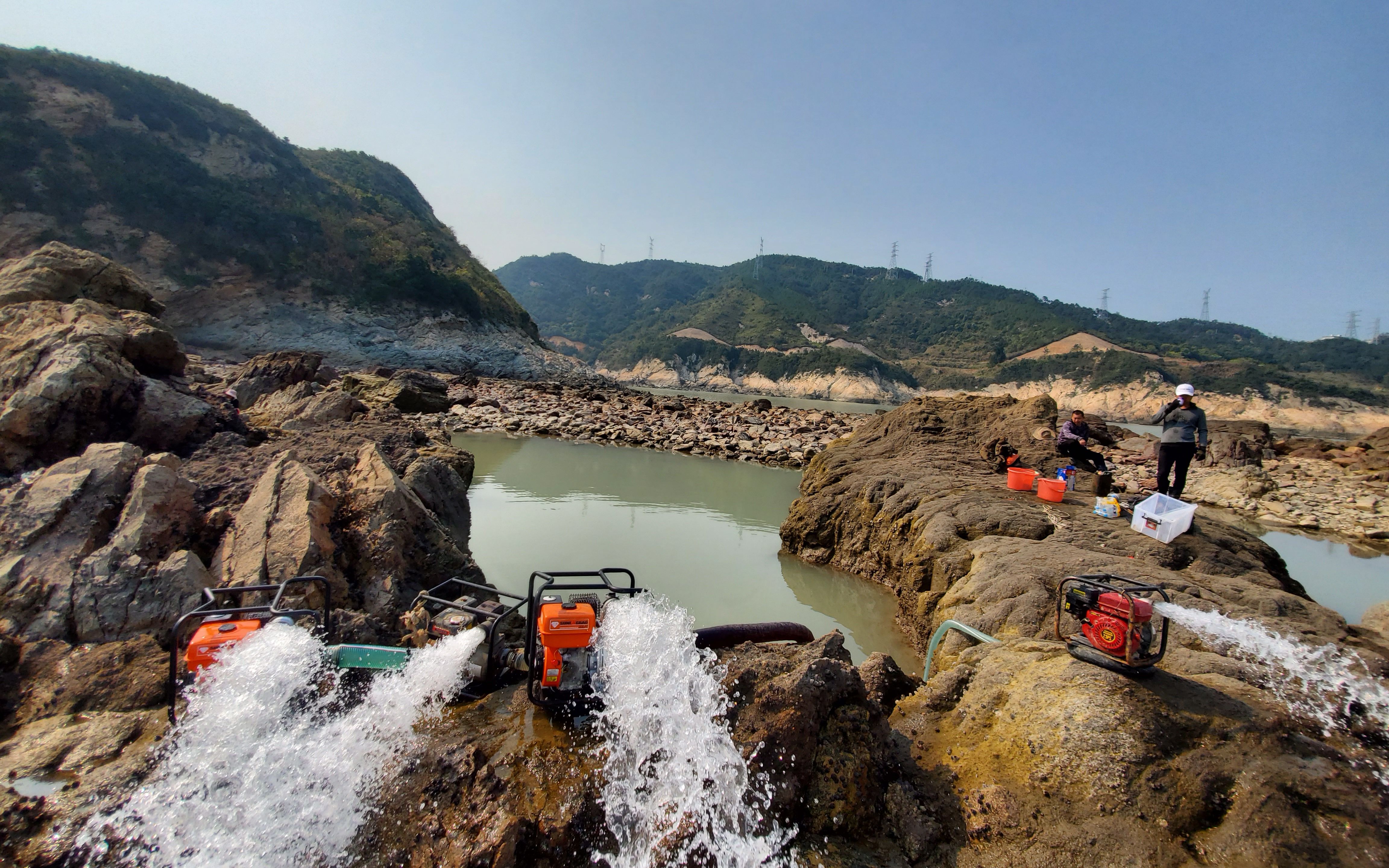 5米深超大水坑4台抽水机3小时抽干最后鱼群全困坑底直接抓爆桶