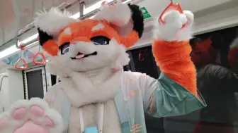 Download Video: 【Fursuit】在天府机场APM捷运线出毛体验是怎样的？