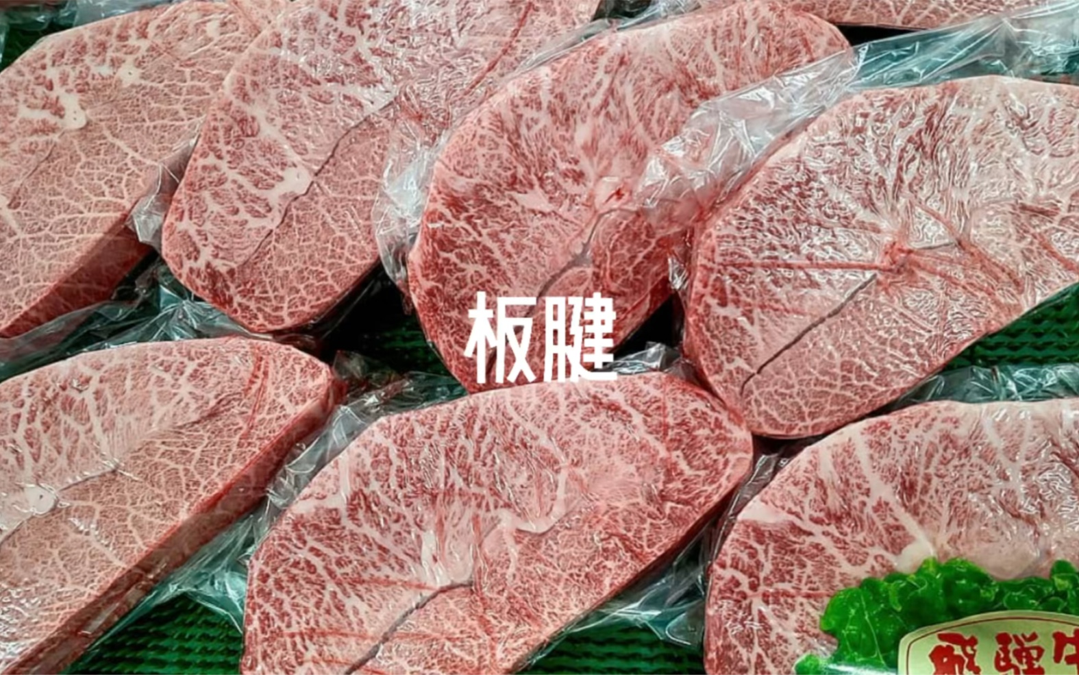 板腱肌肉也有柔嫩的一面哔哩哔哩bilibili