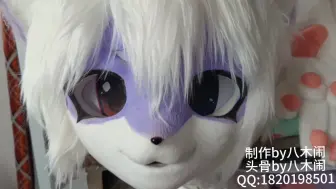 Download Video: 【Fursuit展示】香芋紫、发光眼和小狗手爪单头尾巴半装展示