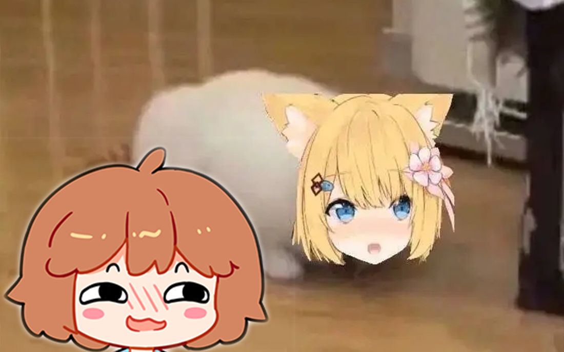 救救猫猫,小心憨八嘎_哔哩哔哩_bilibili