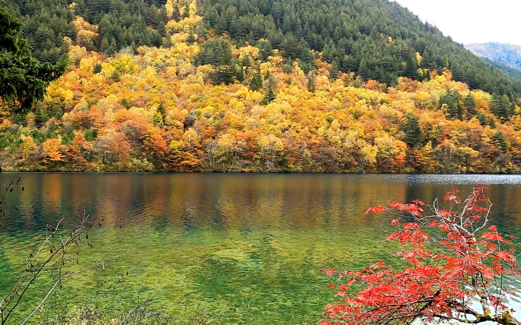 [图]美丽的九寨沟五彩湖岸-放松、治愈【自然音景】