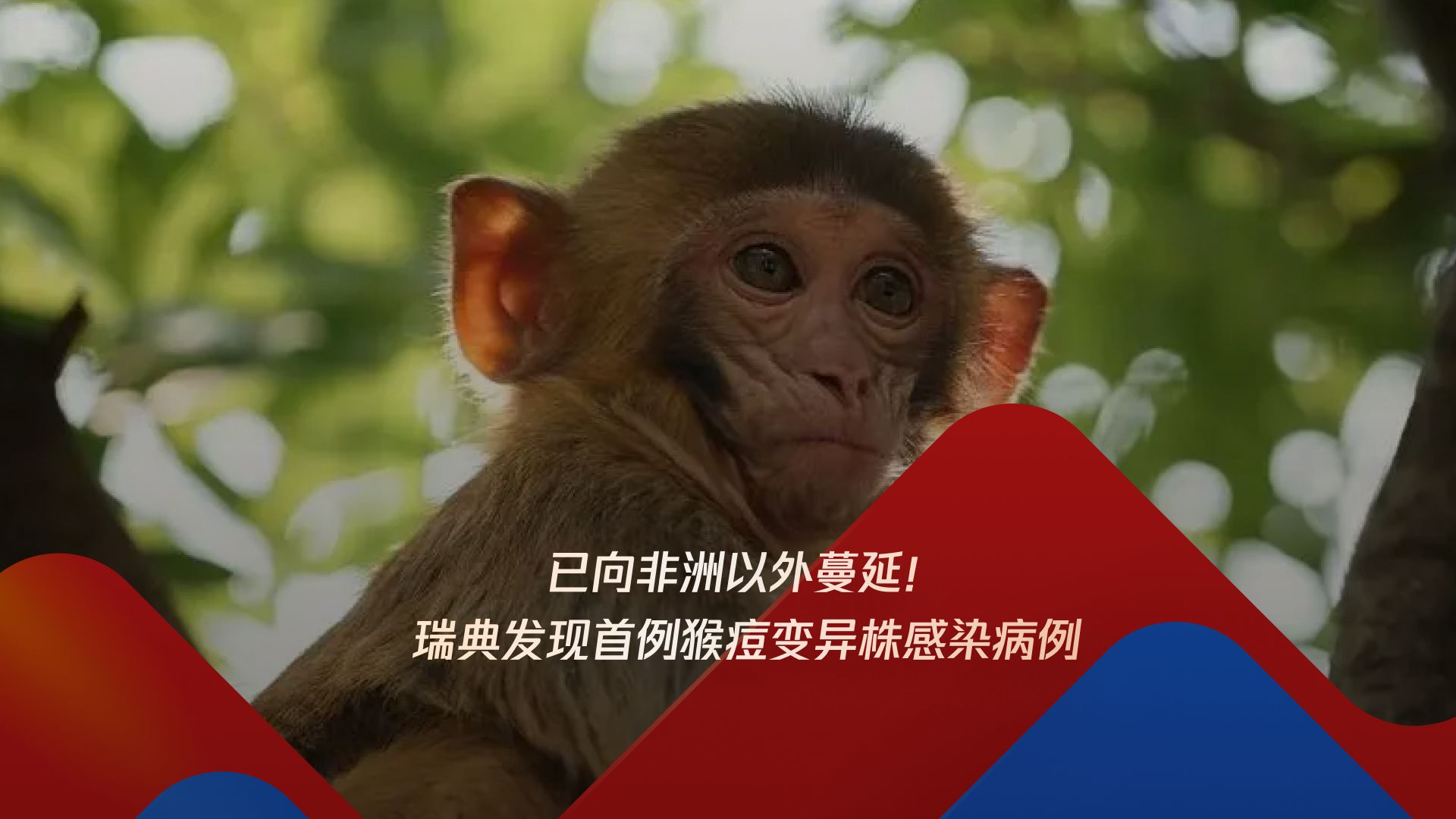 已向非洲以外蔓延!瑞典发现首例猴痘变异株感染病例