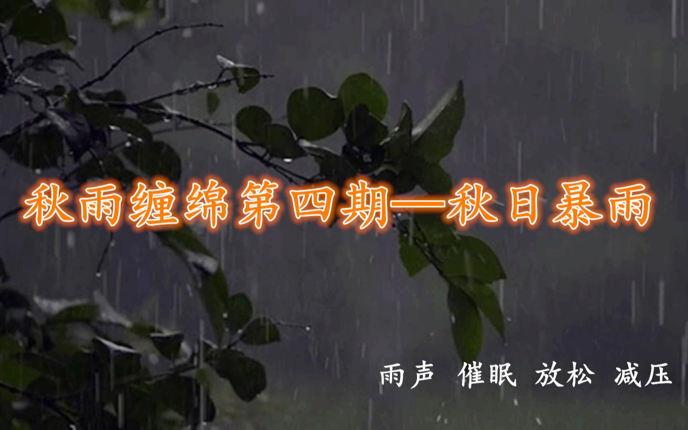 【大雨 秋雨 雨声 安眠 】秋雨缠绵第四期哔哩哔哩bilibili