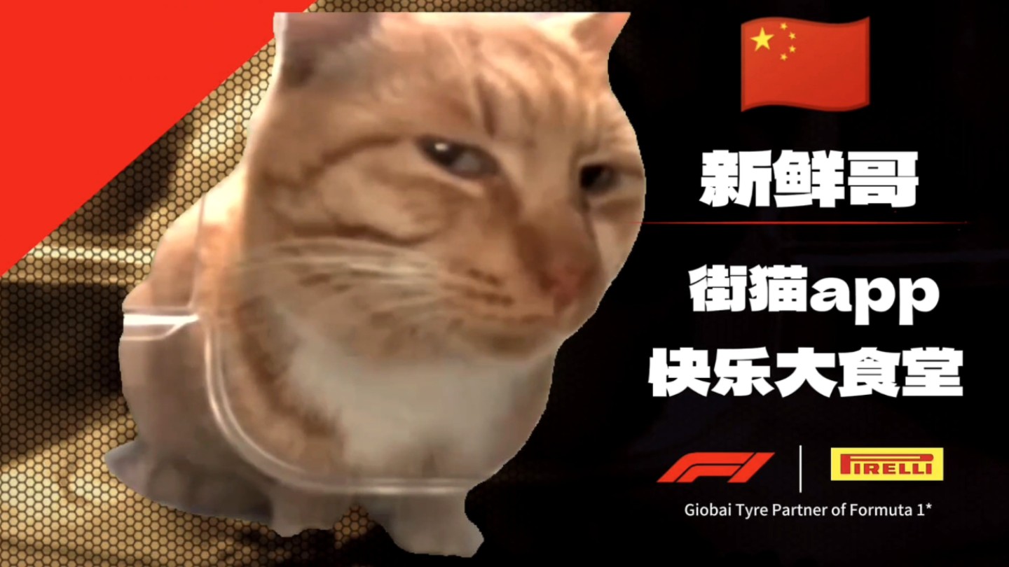 [图]【F1】请选择你的猫meme英雄