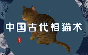 Download Video: 古人对猫的雅致称呼，你的猫在古代叫什么？