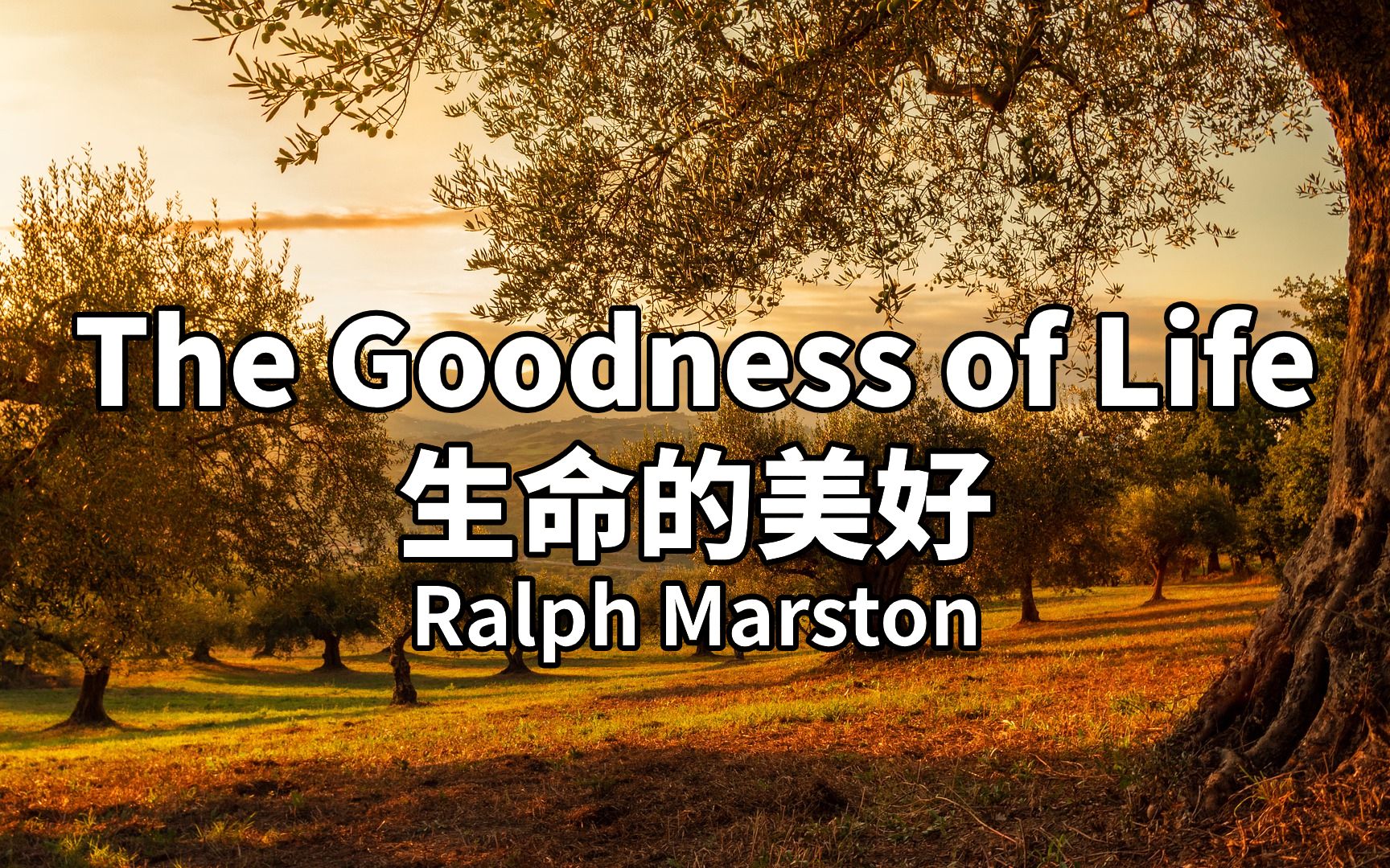 [图]英语美文欣赏及学习：生活的美好，Goodness of Life，唯美配音，逐句解析，适合背诵