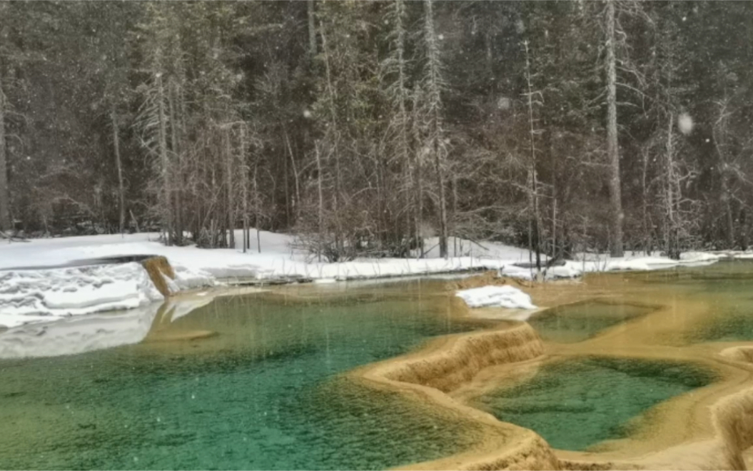 [图]春天下雪的九寨沟有多浪漫，春暖花开时，落雪成画卷