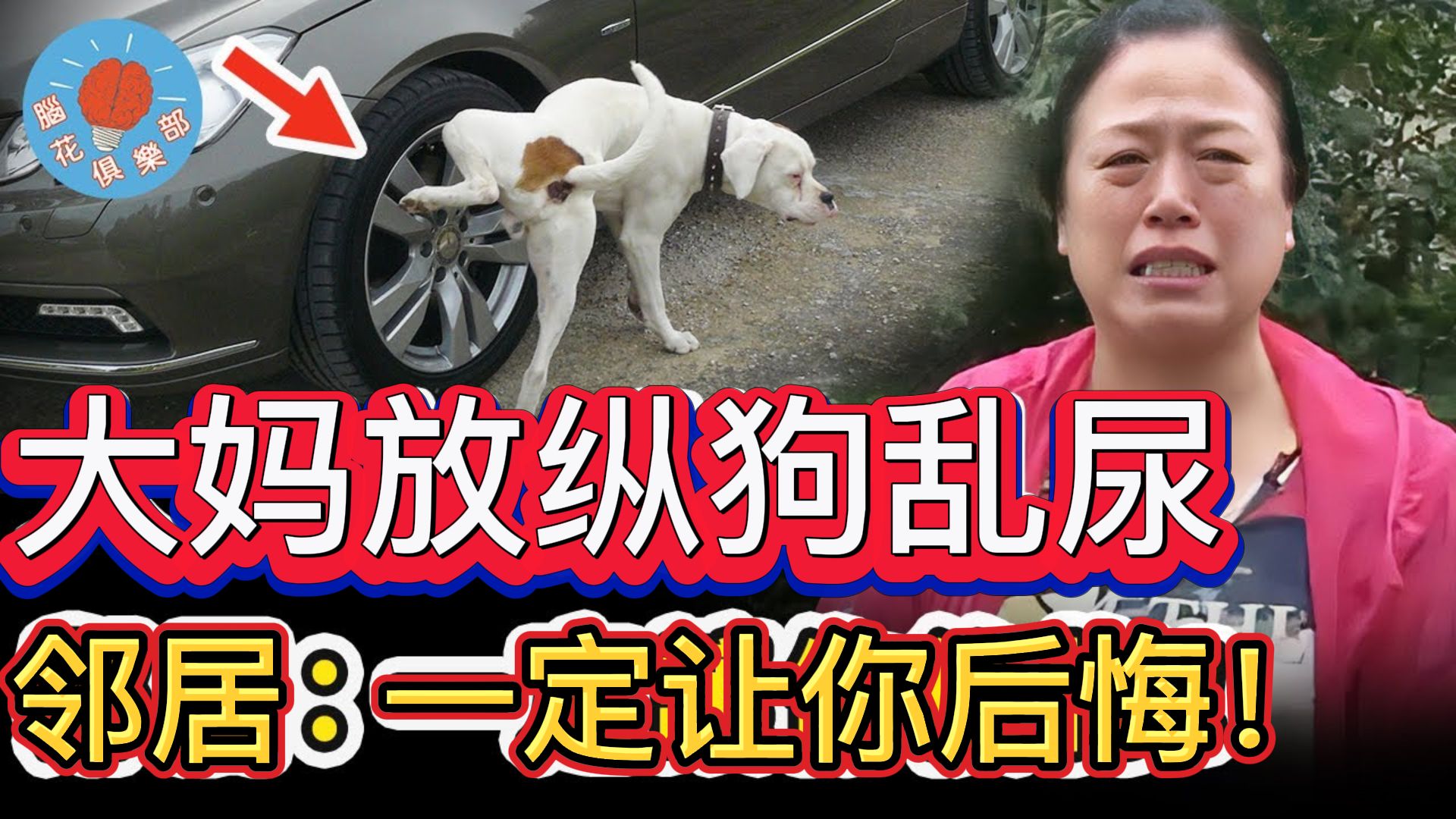 大妈遛狗不牵绳,任由小区车辆被乱尿,车主暴怒:一定让你后悔!哔哩哔哩bilibili