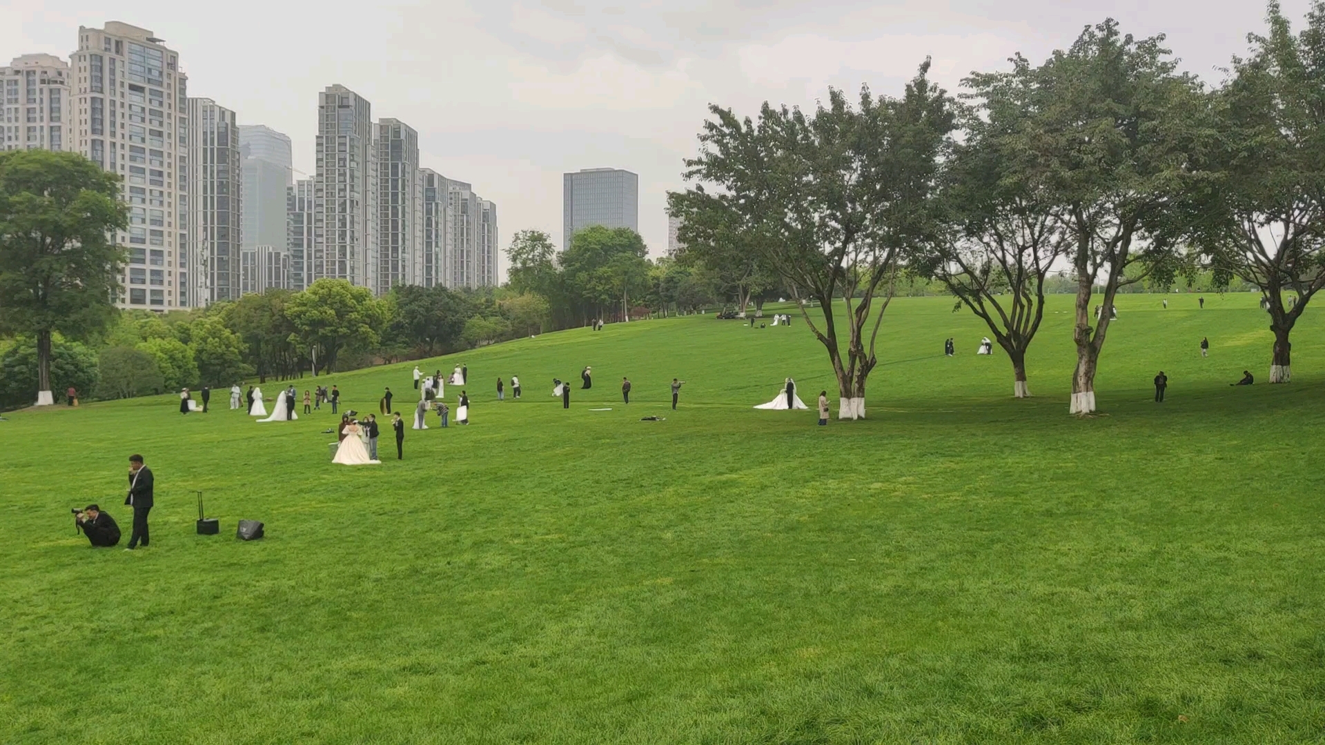 重庆中央公园介绍图片