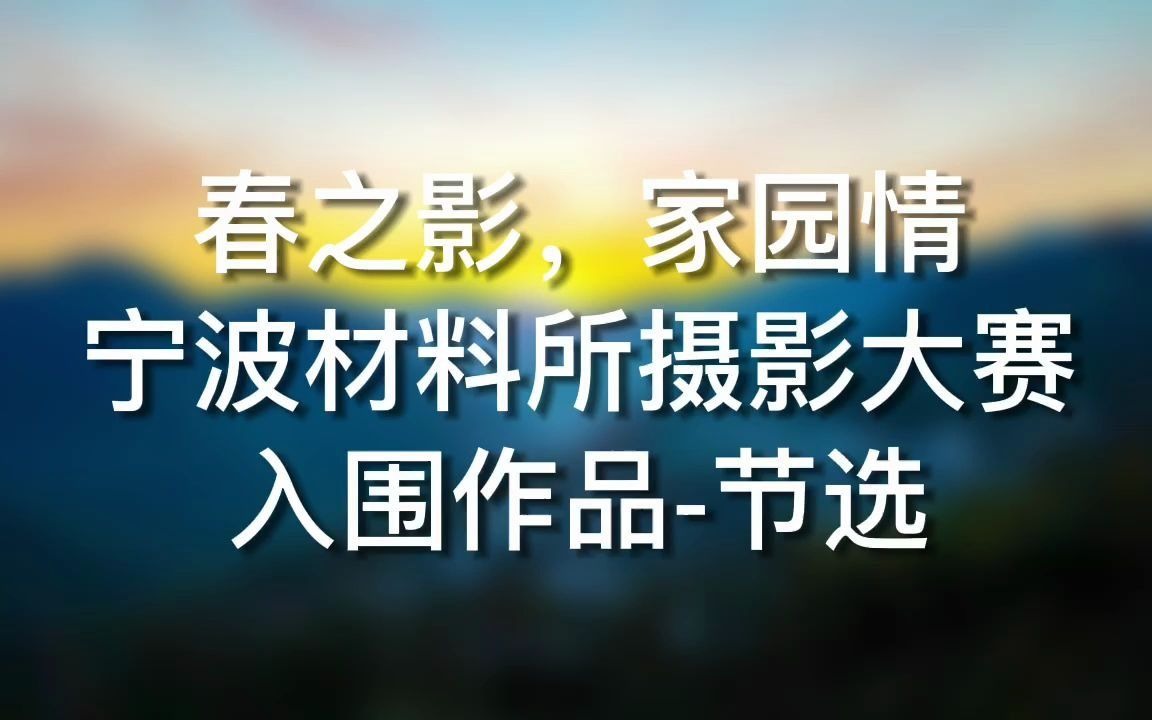 #中科院宁波材料所#“春之影,家园情”摄影大赛入围作品节选哔哩哔哩bilibili