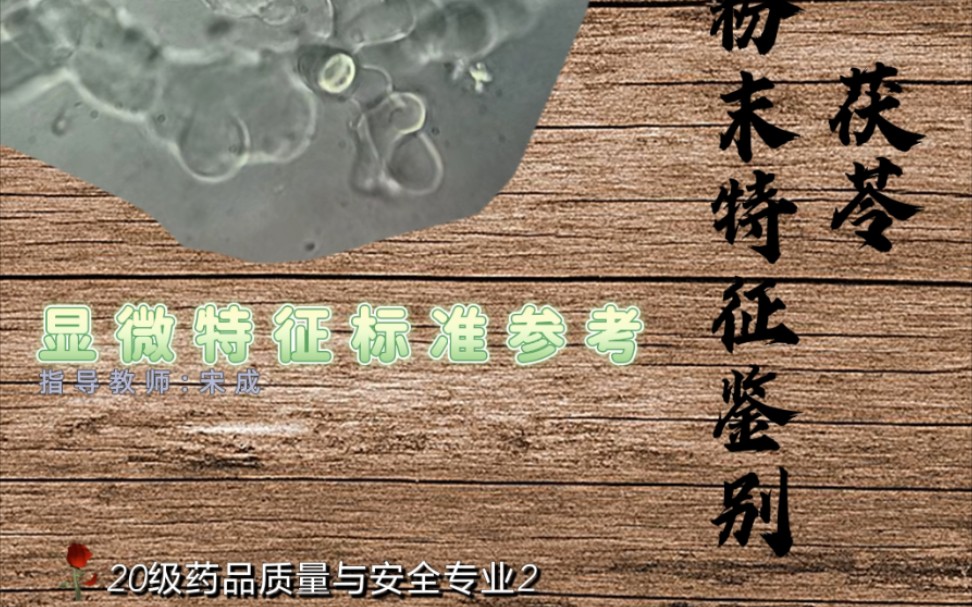 [图]【中药显微鉴别】茯苓的粉末特征鉴别-显微结构特征展示