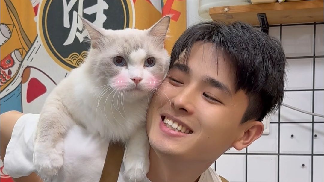 布偶美男子返场啦海报
