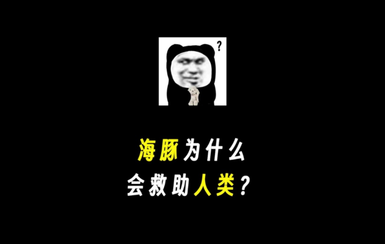 海豚为什么会救人类?哔哩哔哩bilibili