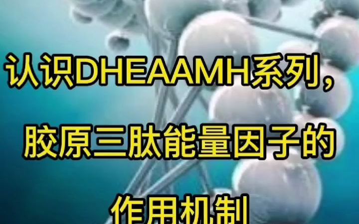 认识DHEAAMH系列 ,胶原三肽能量因子的作用机制哔哩哔哩bilibili