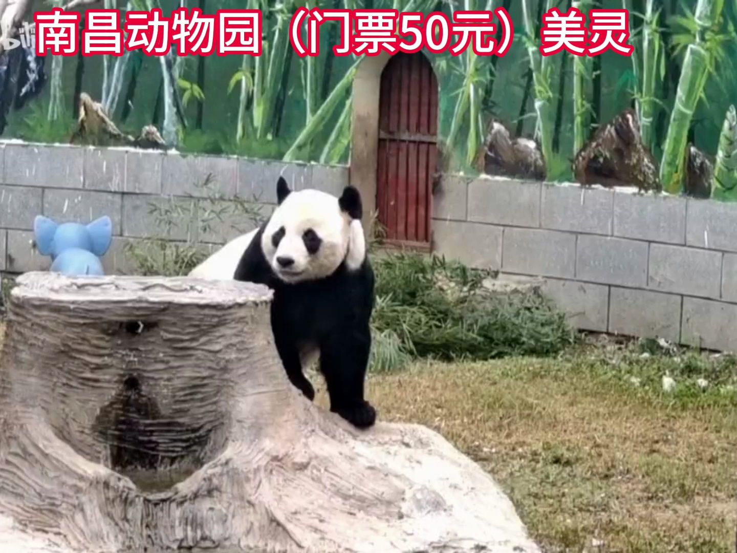 中国50大动物园排名图片