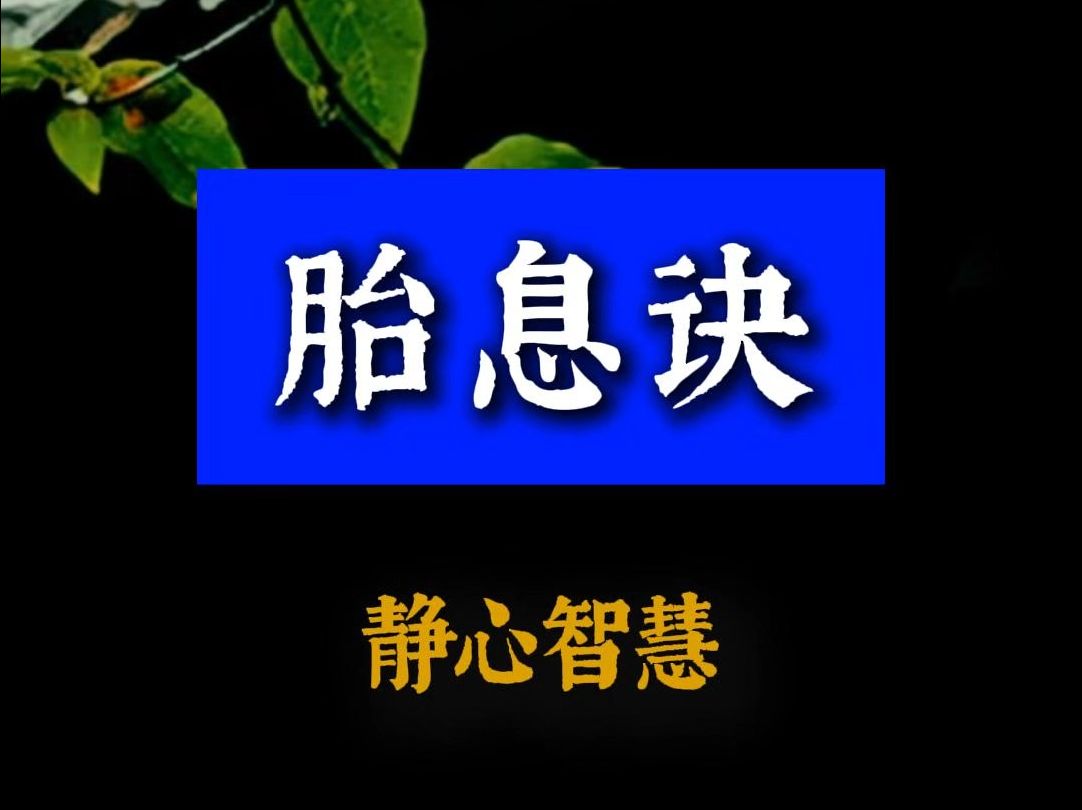 道家修心修行秘典《胎息诀》,蕴含奥秘,透彻精彩!哔哩哔哩bilibili