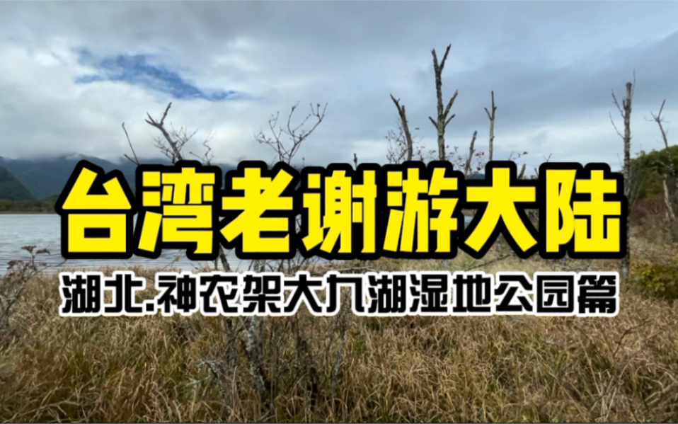 生物多样性科普涨知识!看台湾老谢讲解神农架大九湖国家湿地公园哔哩哔哩bilibili