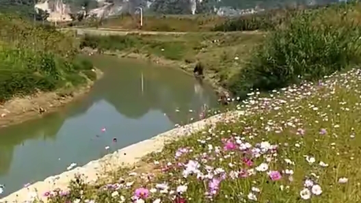 [图]松仁的山水景