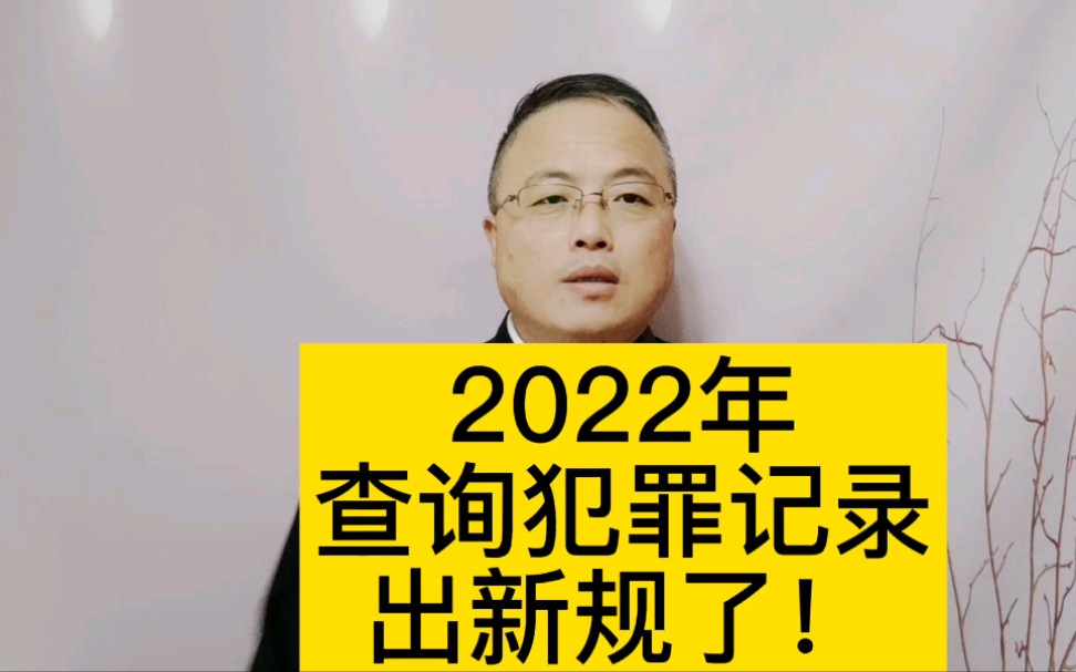 2022年查询犯罪记录出新规了!哔哩哔哩bilibili