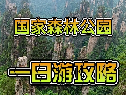 张家界国家森林公园一日游攻略,张家界旅游线路行程哔哩哔哩bilibili