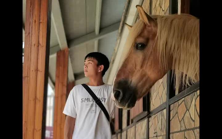 [图]始终飞奔的黑骏马飞向大江南北、奔向心灵红红的血液与蔚蓝色的画图。