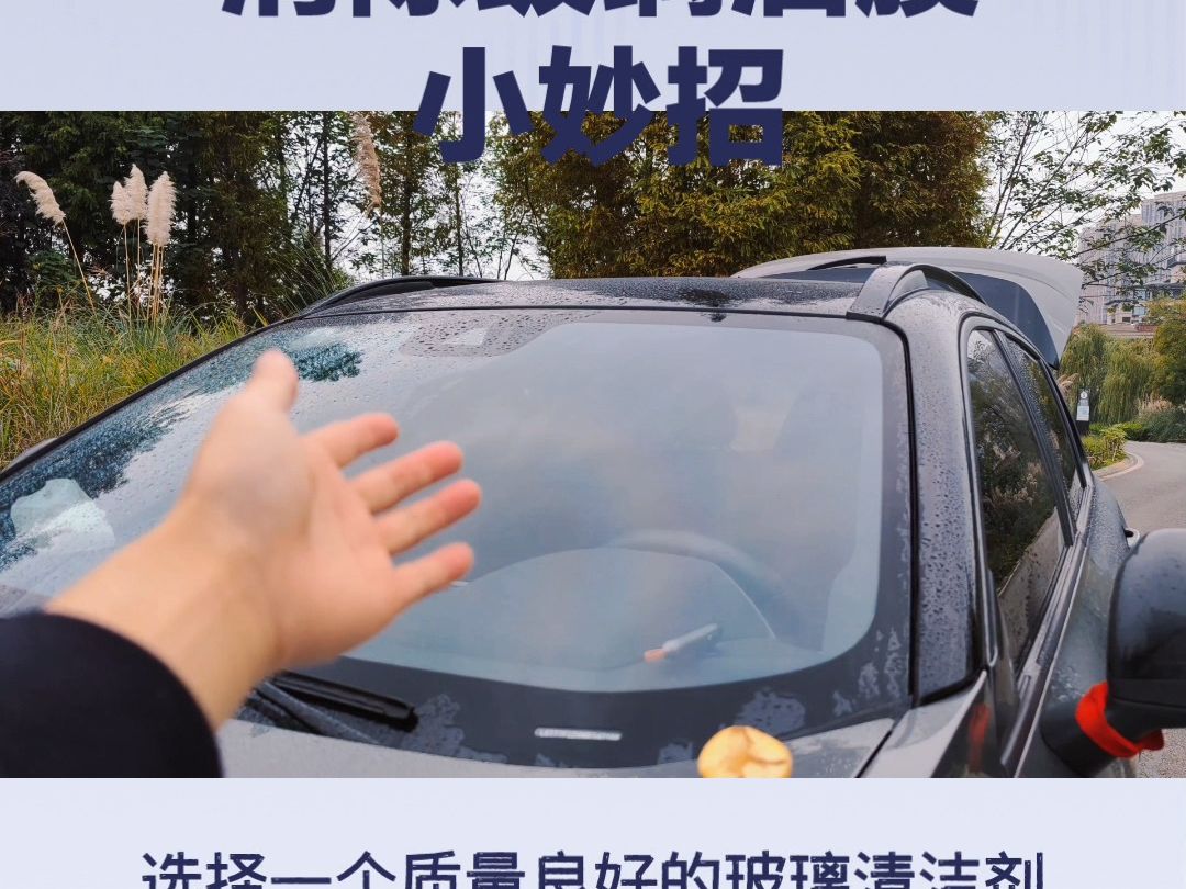 新车气味怎么去除小妙招(新车气味怎么消除)