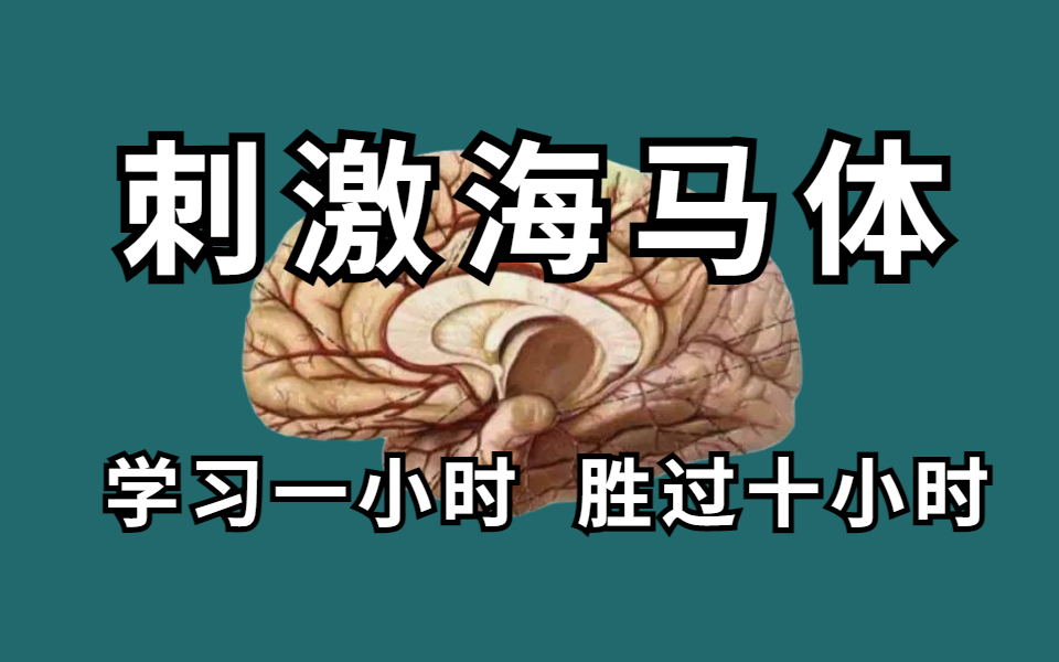 [图]冒死上传！（已离职）花了一万块买的王峰最强大脑记忆力课程，20堂超实用记忆术，教你快速记忆 冲刺背书就靠这个了！记忆力开挂！右脑无痛记忆，直接套用，记忆力暴涨