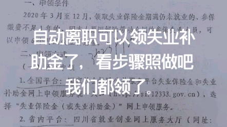 自己辞职可以领失业补助金6个月我都领了.哔哩哔哩bilibili