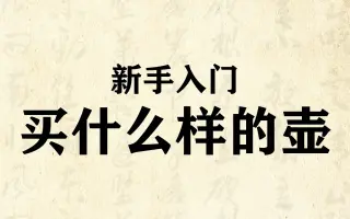紫砂壶：新手入门应该买什么样的壶？