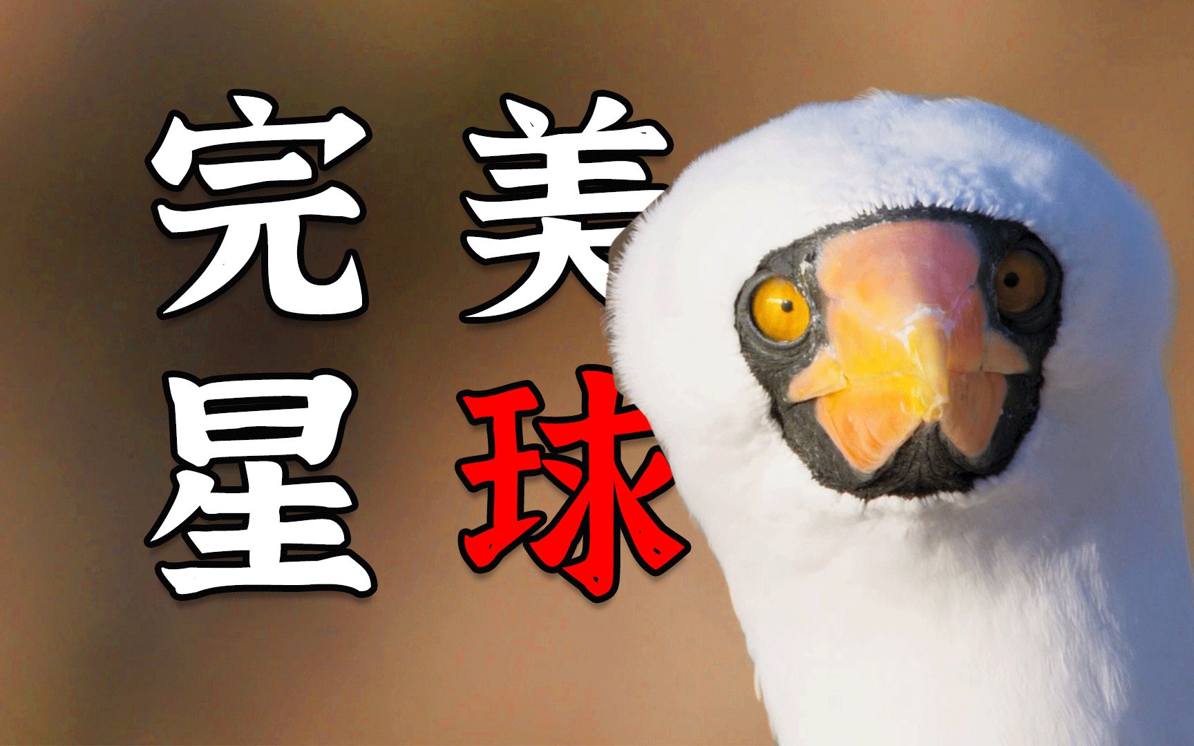 既 是 毁 灭,也 是 滋 养 万 物!-光仔萌兽日记-光仔萌兽日记-哔哩哔哩视频