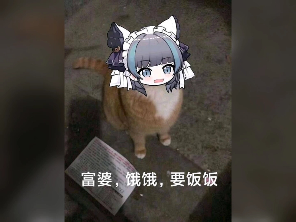 柴郡猫猫表情包第十四期