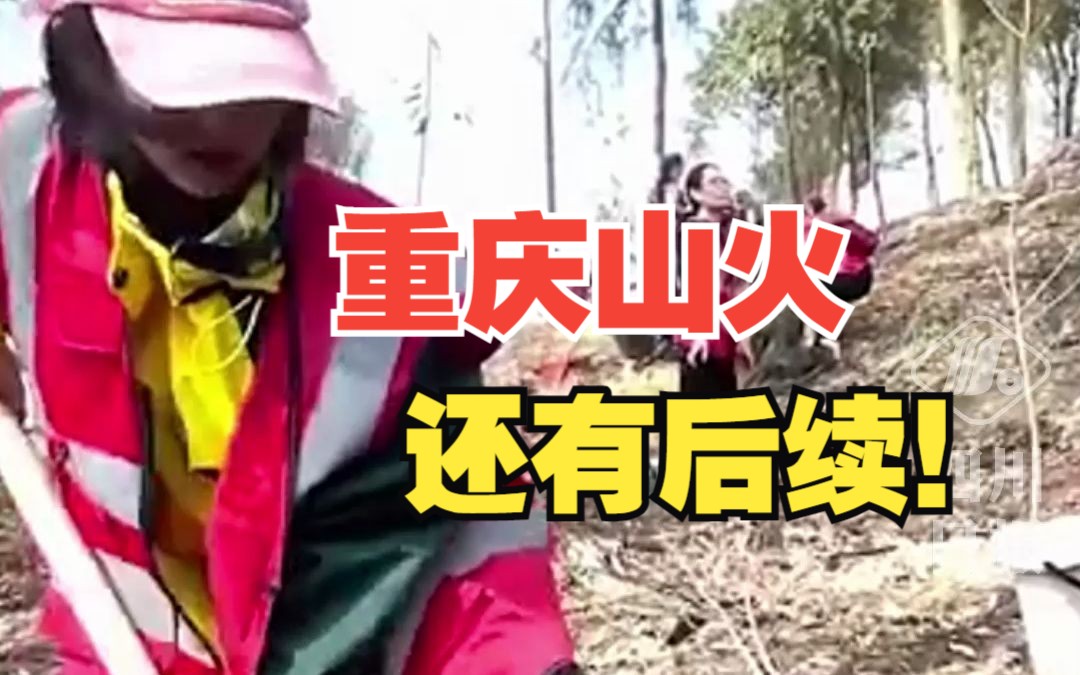 重庆山火“后续”来了!上千名救援志愿者重返缙云山只为……哔哩哔哩bilibili