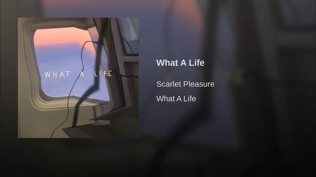 [图]【欧美音乐】【小众音乐推荐】酒精计划插曲What A Life - Scarlet Pleasure