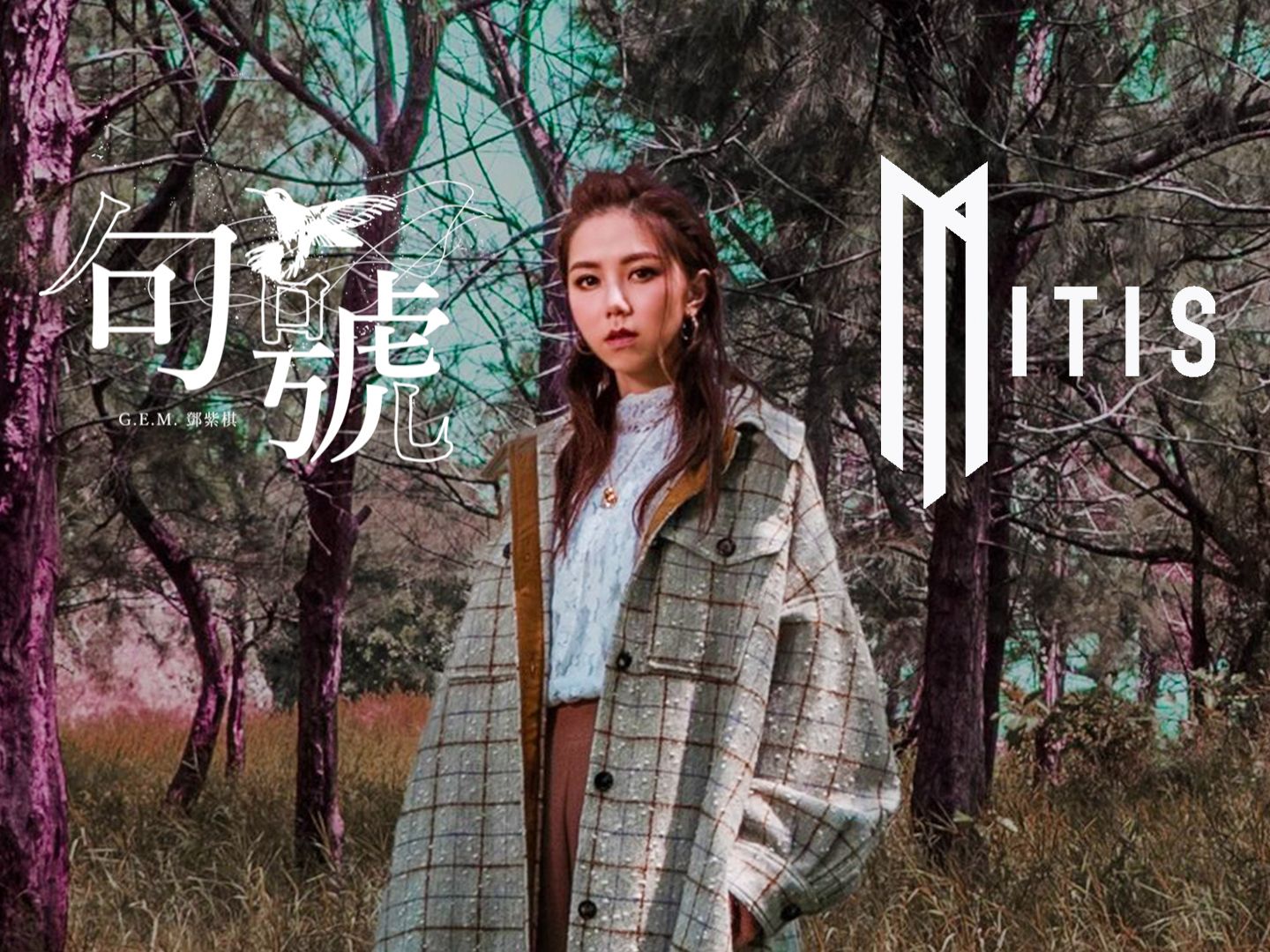 【邓紫棋 x mitis】感受电音诗人版本《句号》