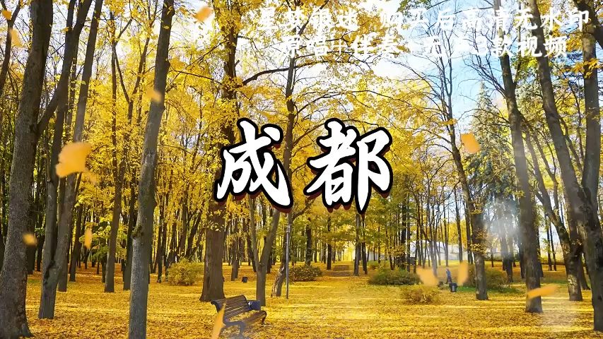 《成都》的创作背景图片