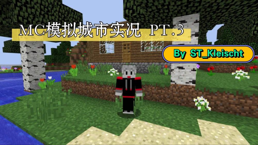 【STKleischt】MC模拟城市系列PT.3哔哩哔哩bilibili实况