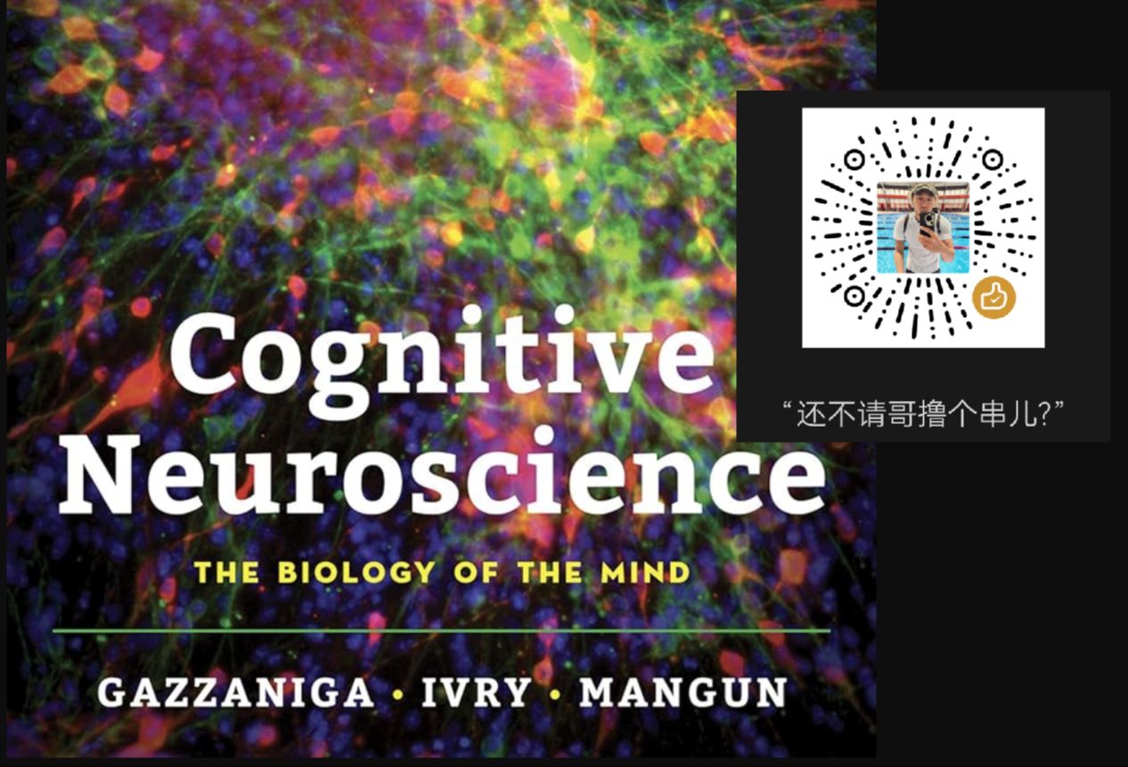 【中英双语伴读】认知神经科学 Cognitive Neuroscience 中文版 3rd + 英文版5th Gazzaniga哔哩哔哩bilibili