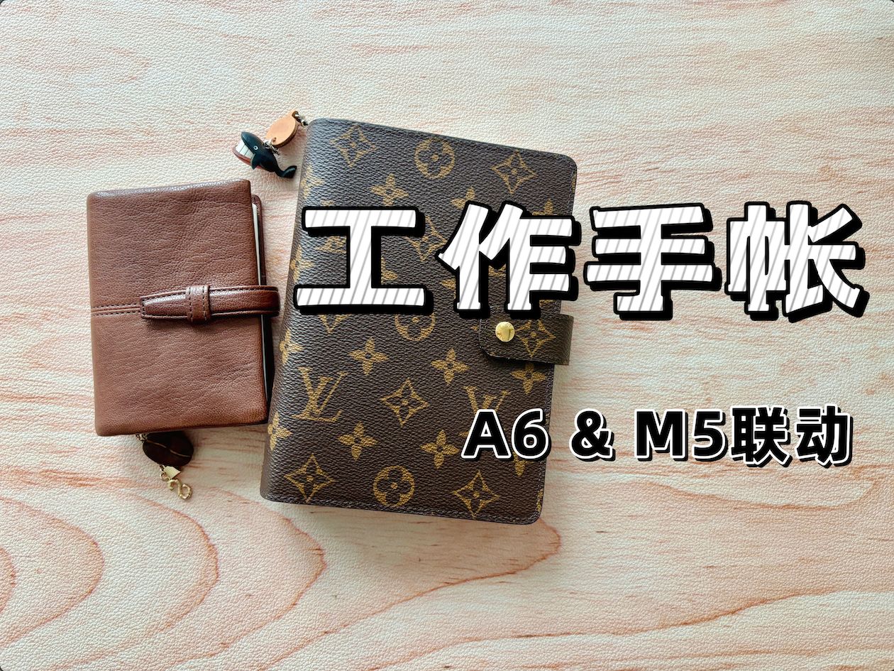 工作手帐翻翻看|效率手帐er|A6&M5联动|LV手帐|RePlan内页|【是Steffy呀】哔哩哔哩bilibili