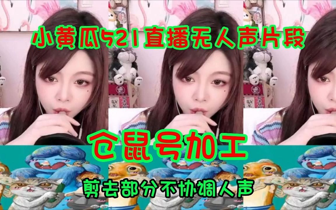 小黄瓜直升机521直播无人声段仓鼠号加工剪去部分人声,无人声片段也有这么多瓜言瓜语哔哩哔哩bilibili