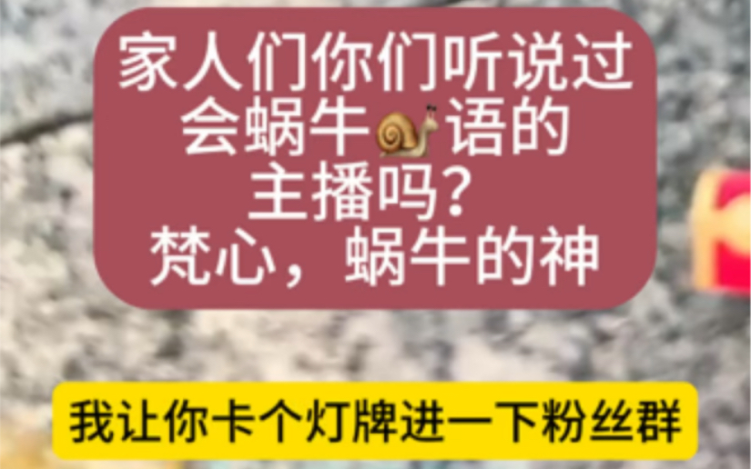 亲人们,见过会蜗牛语的主播吗,敬业的梵心老师教你,点击就看蜗牛先生卡灯牌哔哩哔哩bilibili