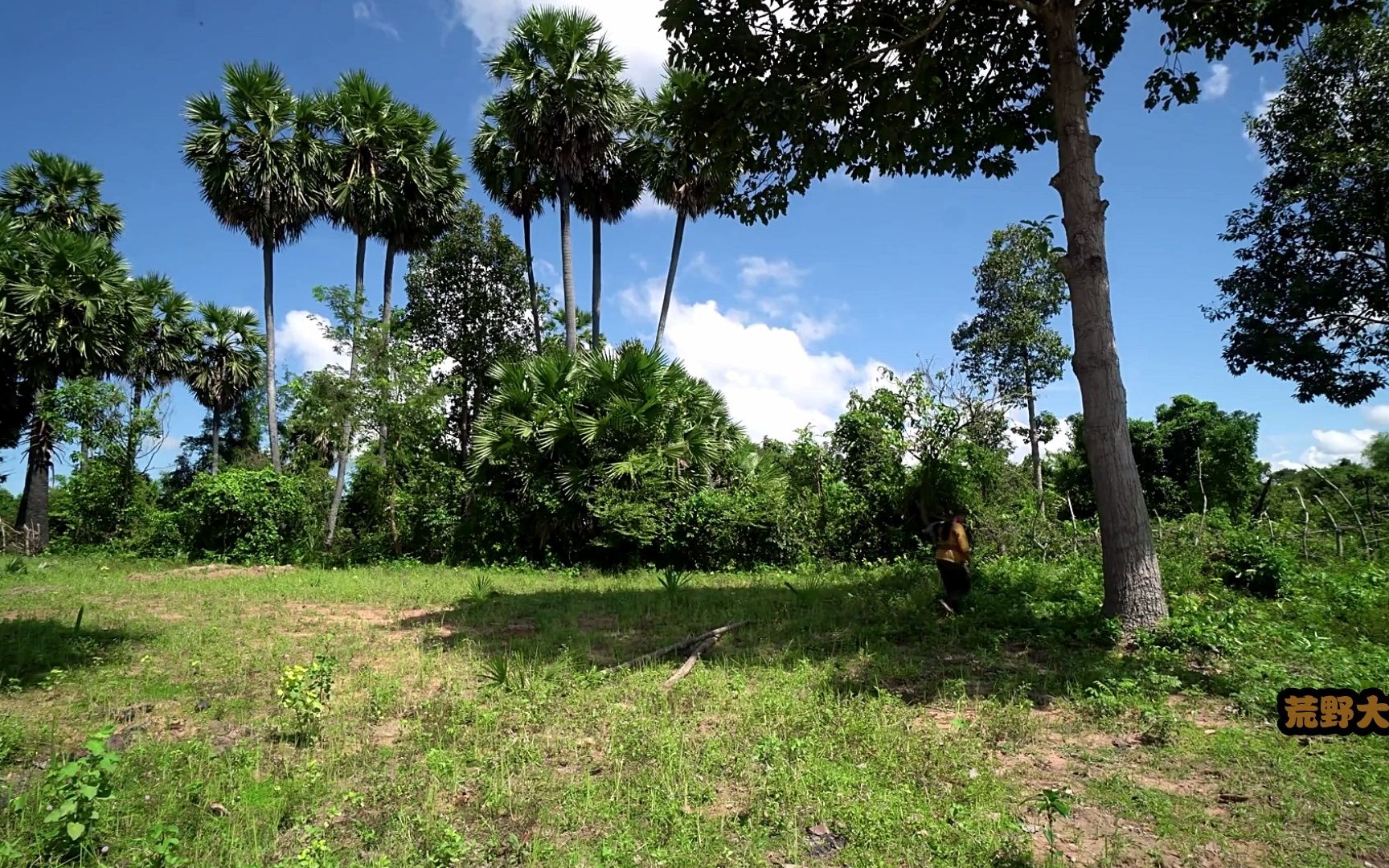 美女独自踏入荒野丛林,依山傍树建出三层高楼,男人看完自愧不如