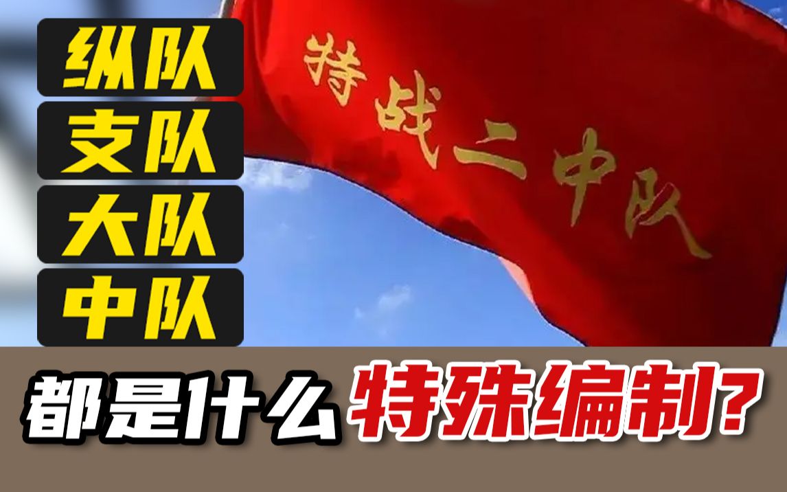 我军的纵队、支队、大队,中队,都是什么特殊部队编制?哔哩哔哩bilibili