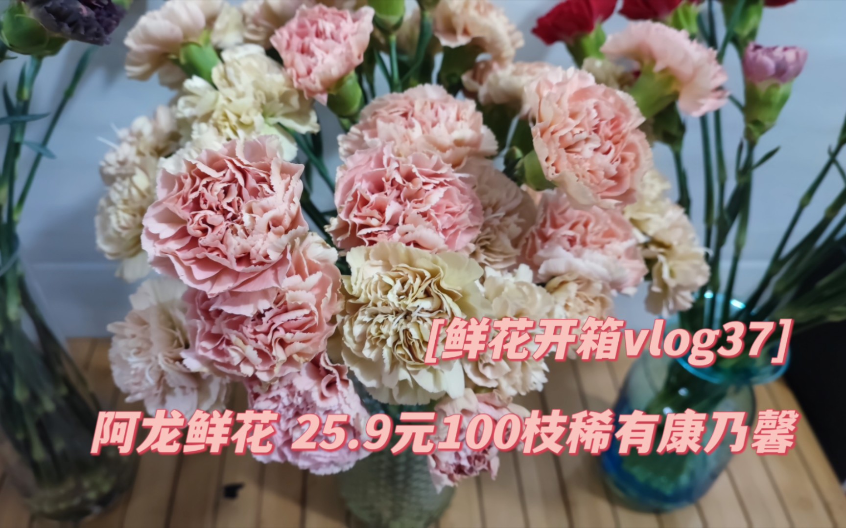 [鲜花开箱vlog37]阿龙鲜花|一百枝稀有康乃馨哔哩哔哩bilibili