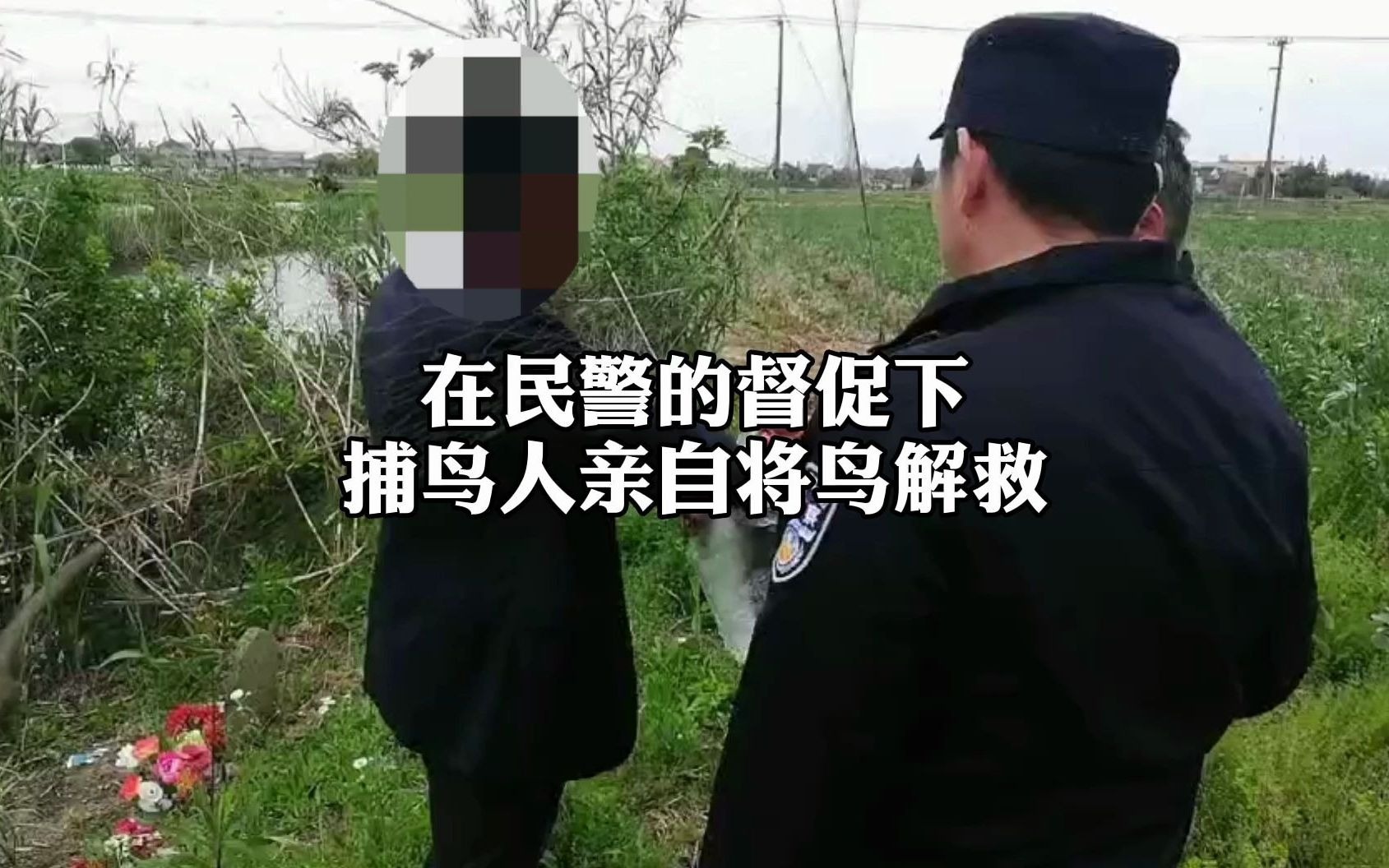 [图]拉网捕鸟被举报！最终把自己捕进“网”