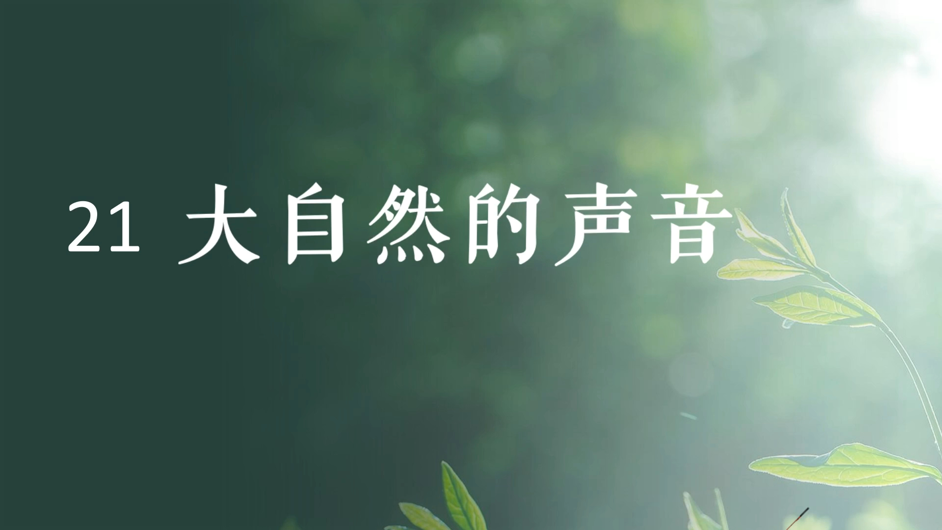 三上《大自然的声音》公开课ppt七彩语文杯