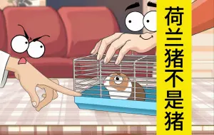 Tải video: 荷兰猪不是猪