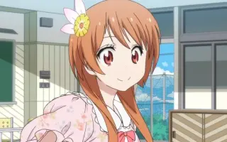 万里花 搜索结果 哔哩哔哩 Bilibili