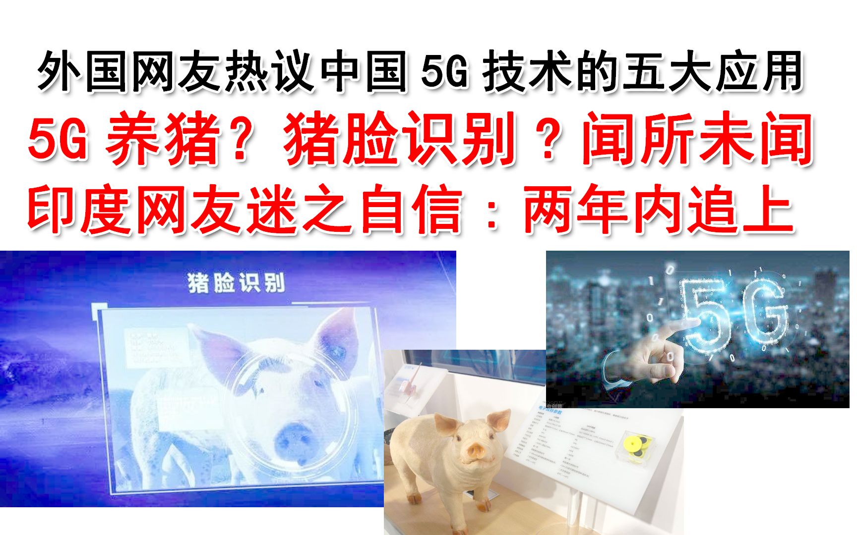 [图]外国网友热议中国5G黑科技五大应用：啥，5G养猪？“猪脸识别”了解下！