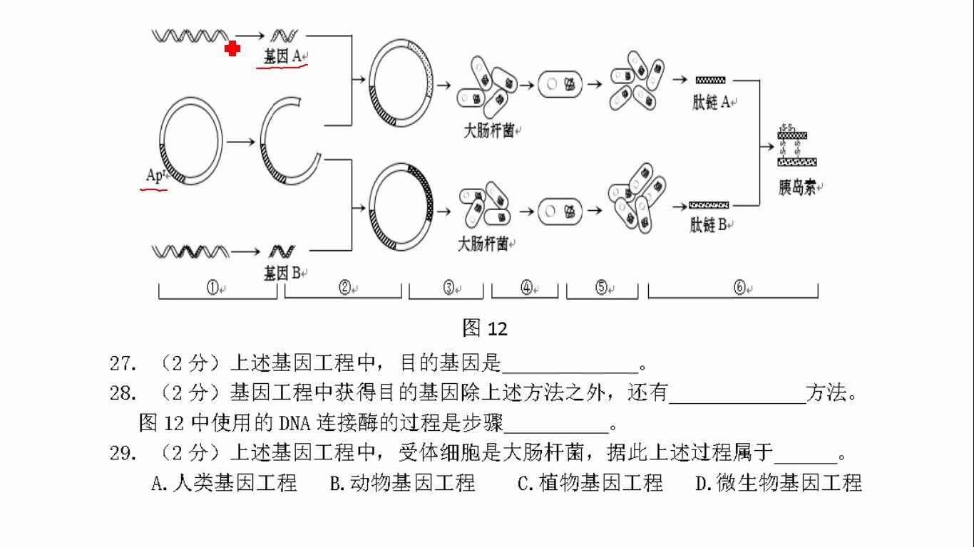 2020生物二模金山区综合题——(二)哔哩哔哩bilibili